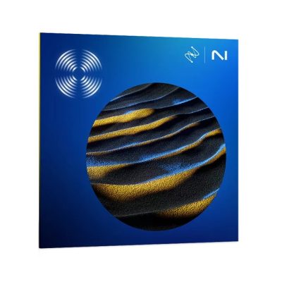 iZotope RX11 Standard