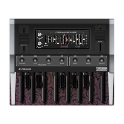 Cherry Audio Lowdown Bass Synthesizer