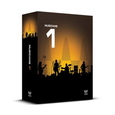 Waves Musician’s 1