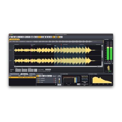 Acon Digital Acoustica 7 Premium