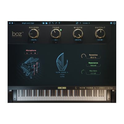 Boz Digital New York L 1991 Lite