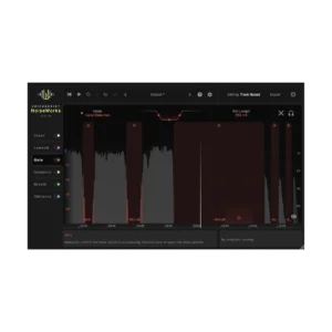 NoiseWorks VoiceAssist Standard