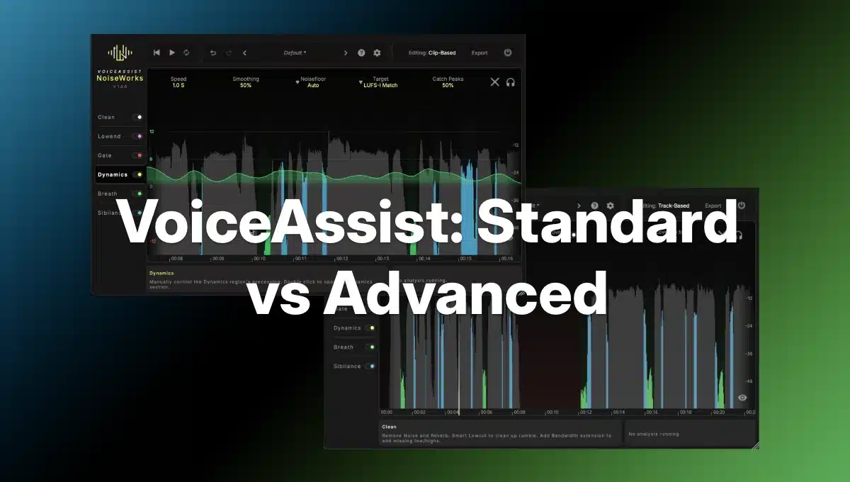 noiseworks voiceassist features